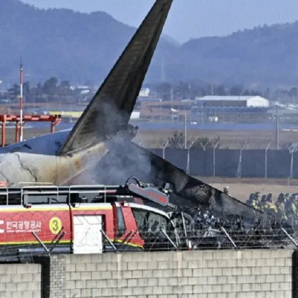 Bird Hit And Plane Crashed. 179 People Dead. Year End Very Big Sad News Arrived.