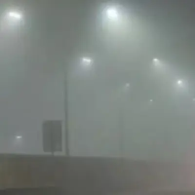 Delhi Fog Alert: Imd Advises Staying Indoors Amid Severe Visibility Issues And Cold Wave Conditions.