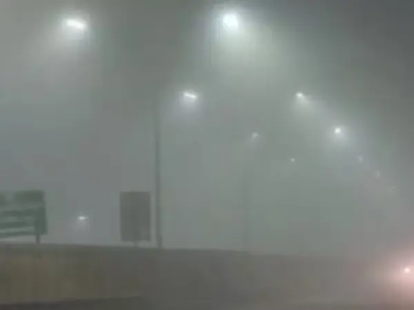 Delhi Fog Alert: Imd Advises Staying Indoors Amid Severe Visibility Issues And Cold Wave Conditions.