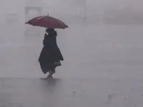 Severe Cold Wave And Dense Fog Affecting Most States In India; Rainfall Expected Soon.