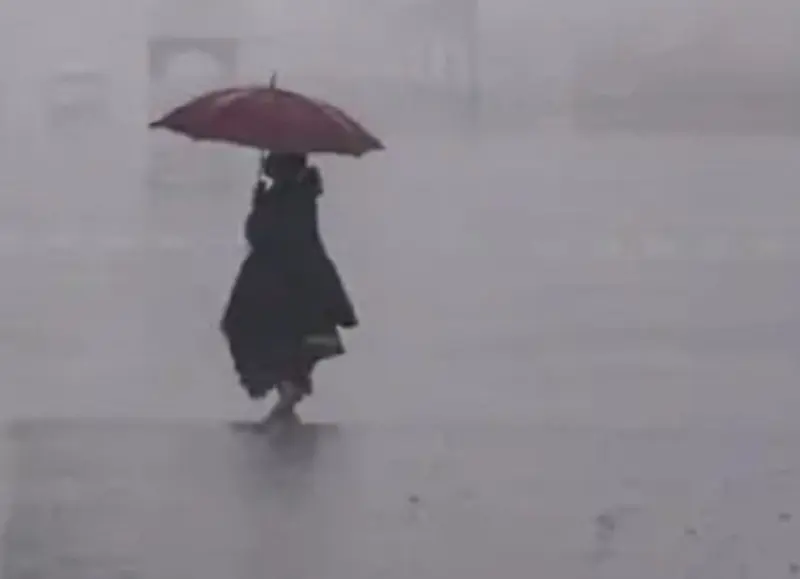 Severe Cold Wave And Dense Fog Affecting Most States In India; Rainfall Expected Soon.