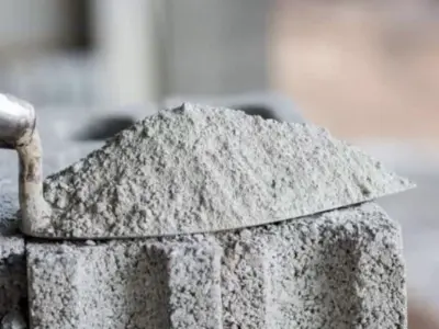 Shree Cement Declares ₹50 Interim Dividend For Fy 2024-25; Record Date Set For February 5, 2025, Payment Starts February 17.