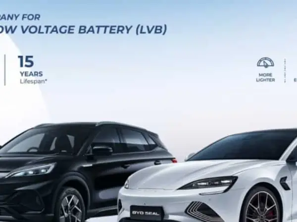 Tesla Has Released A New Fragrance. Meanwhile, The Chinese Car Company Has Introduced Two Additional New Models. Find Out Their Features And Prices.